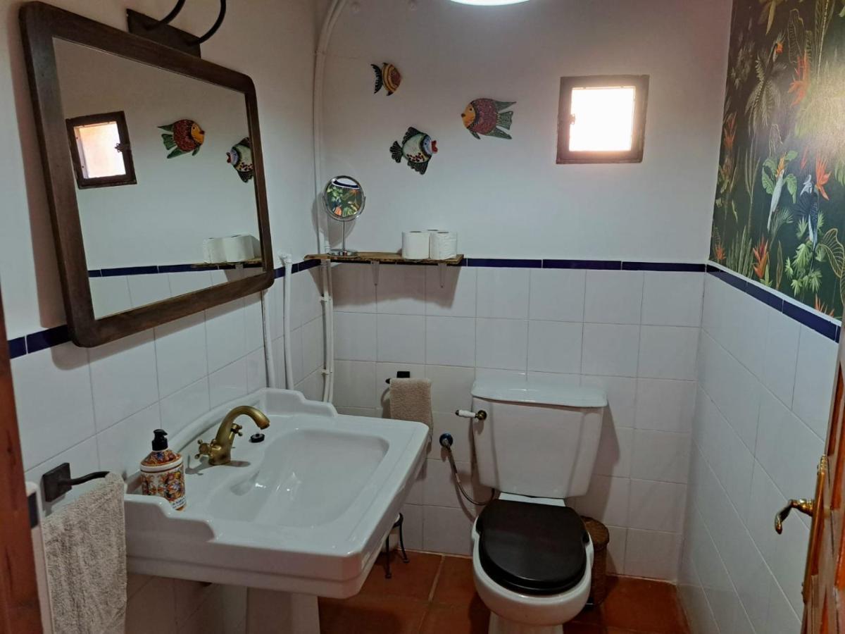 Casa Del Trotamundos Pensionat Villamayor de Campos Exteriör bild